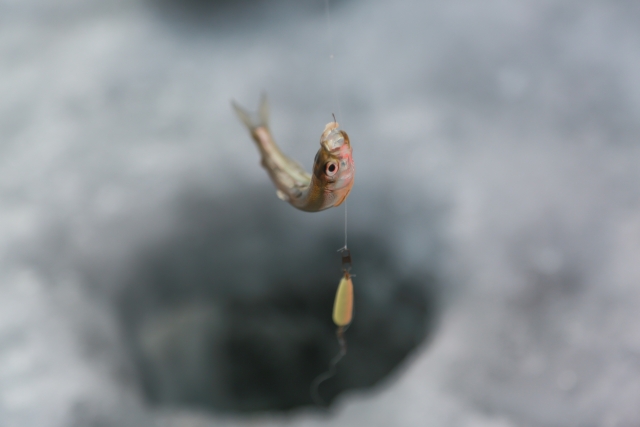 ワカサギ釣りのイメージ