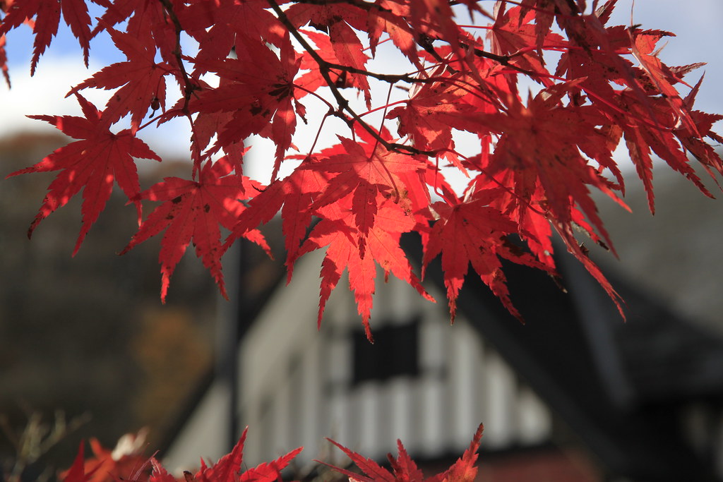 11月の軽井沢観光