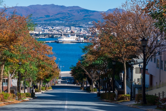 函館の10月の観察スポット