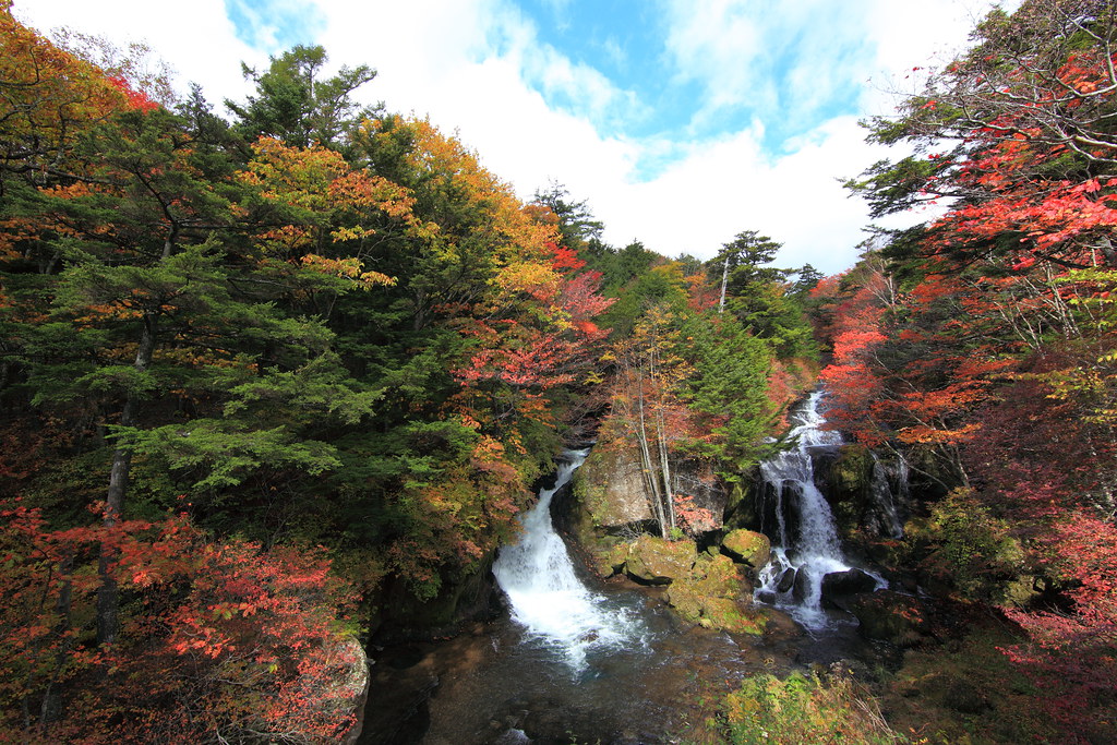 息をのむほど美しい紅葉と絶景「竜頭ノ滝」