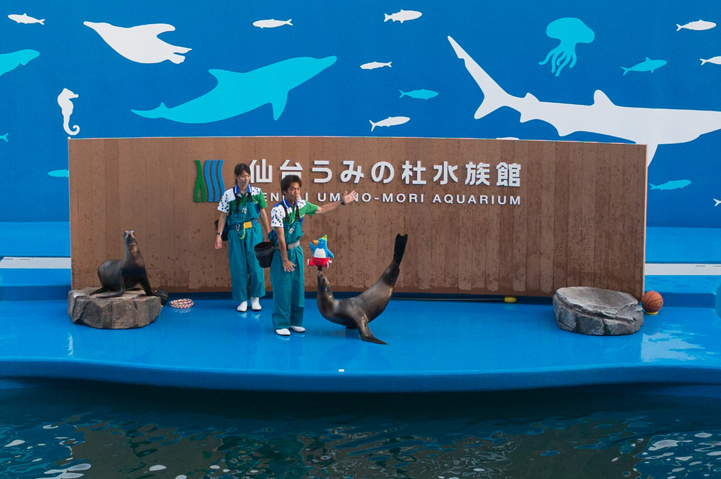 世界中の生き物の展示が楽しめる仙台うみの杜水族館