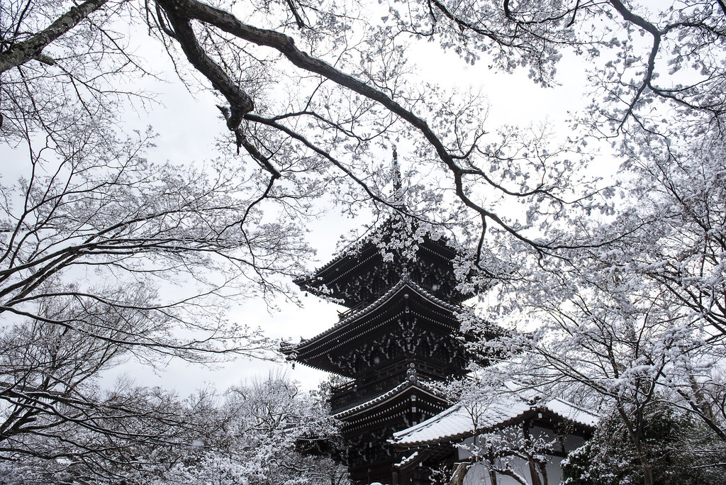 冬の東寺五重塔