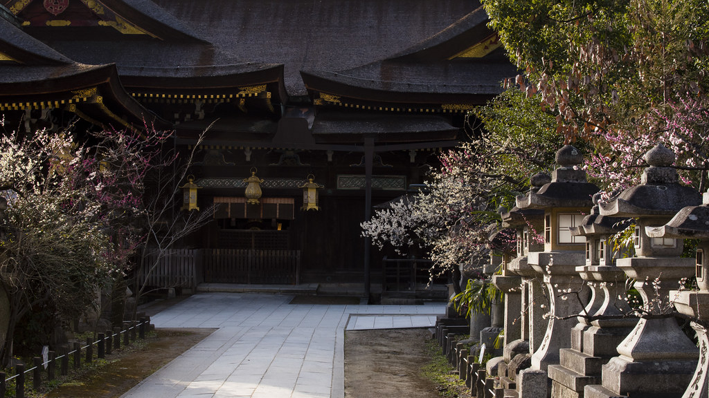 京都観光12月上旬のおすすめスポット
