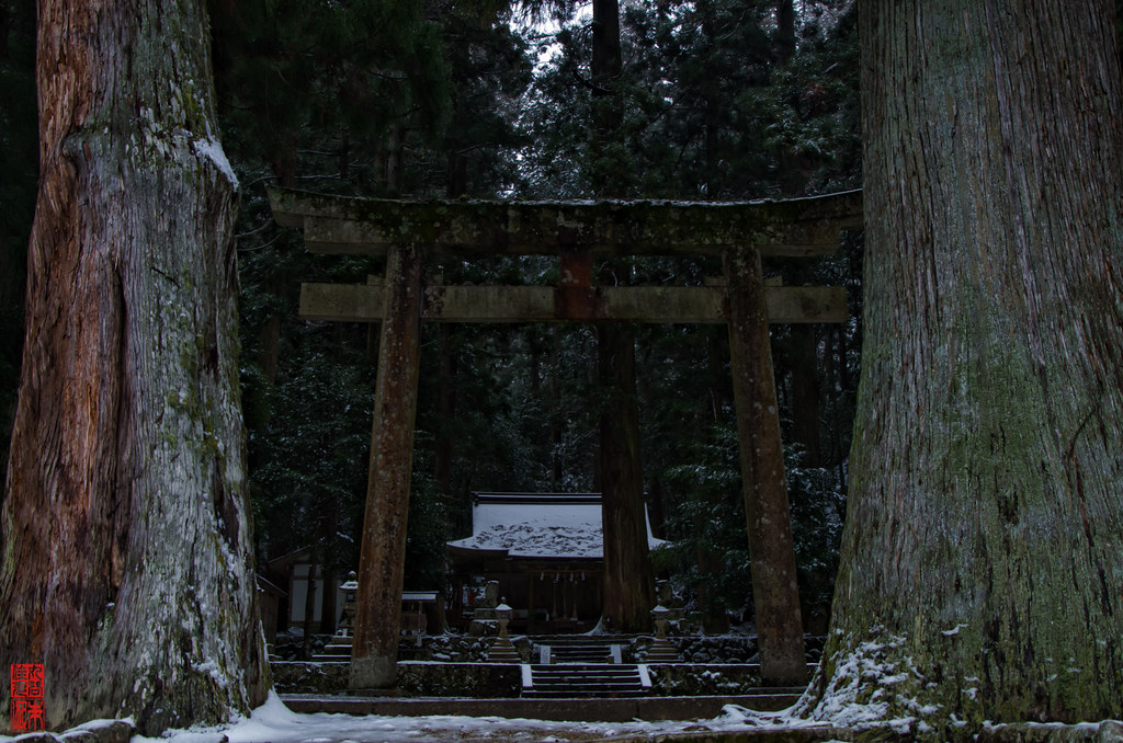 冬の奈良を余すところなく楽しんでください