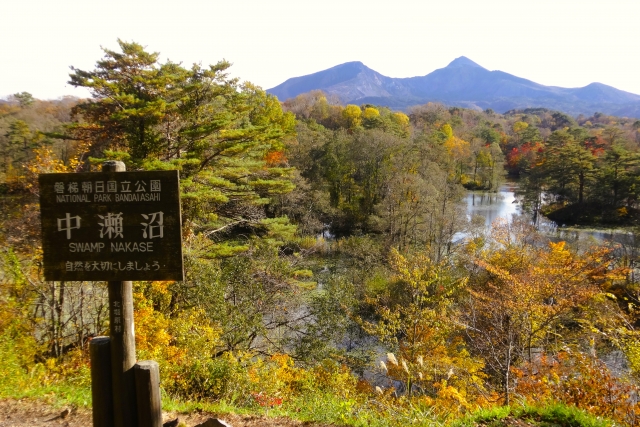 裏磐梯の11月の観光おすすめスポット・中瀬沼