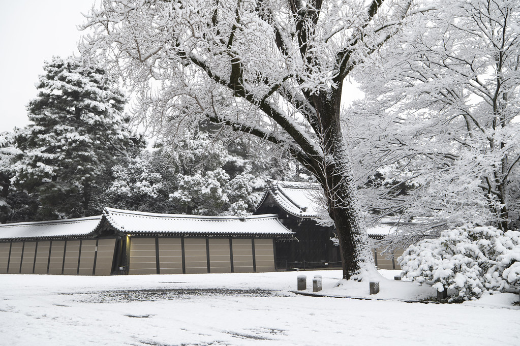幻想的な雪景色の京都御苑