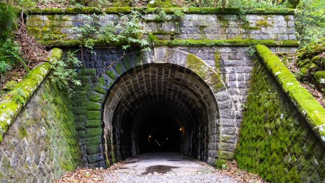 修善寺観光に来たなら足を伸ばしたい、苔むした雰囲気のある旧天城トンネル