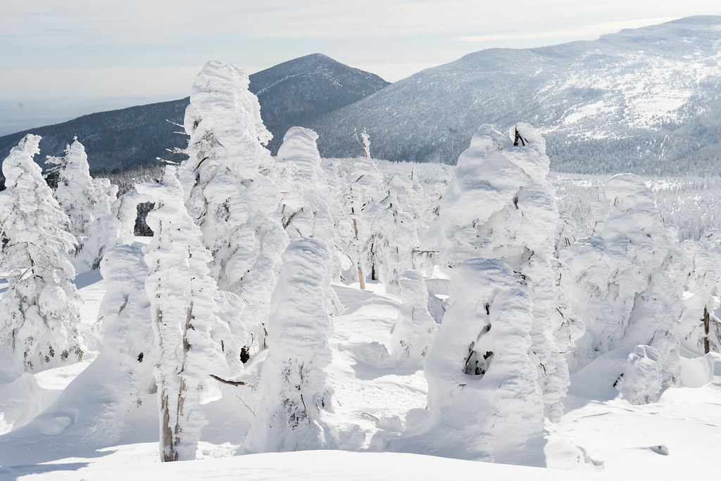 12月の山形観光オススメスポット・蔵王の樹氷