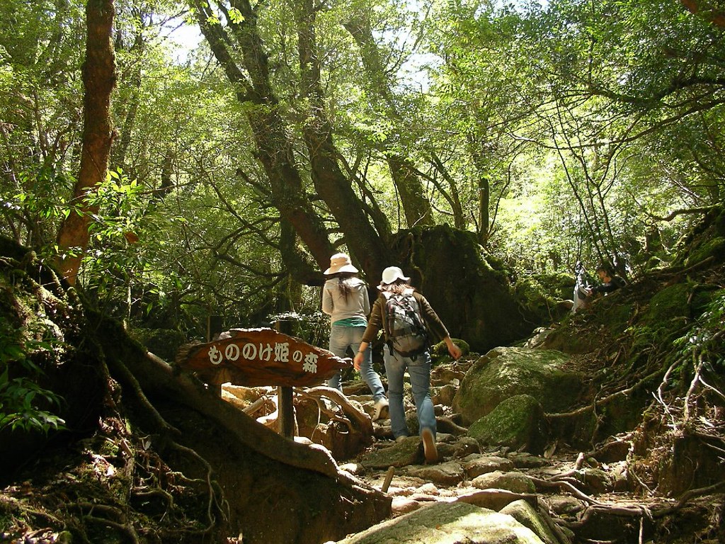 もののけ姫の世界観が楽しめる白谷雲水峡