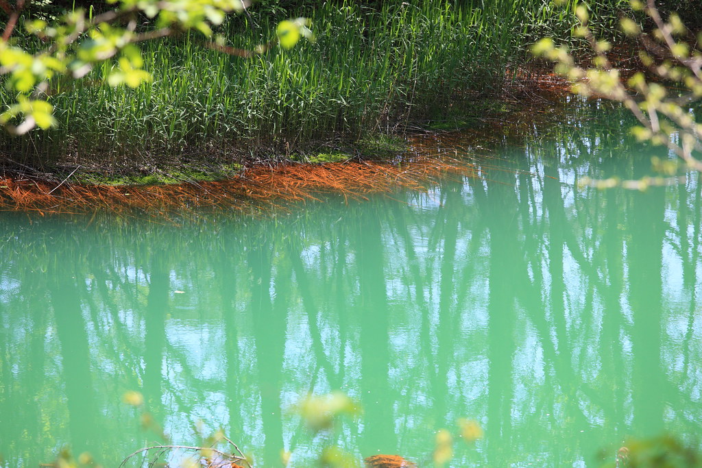 裏磐梯の五色沼