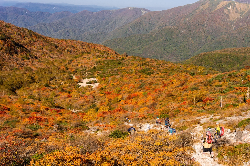 11月の那須観光にオススメ・姥ヶ平のフォトジェニックな風景