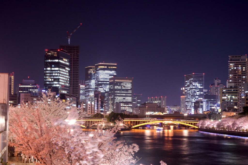 大阪の桜ライトアップ