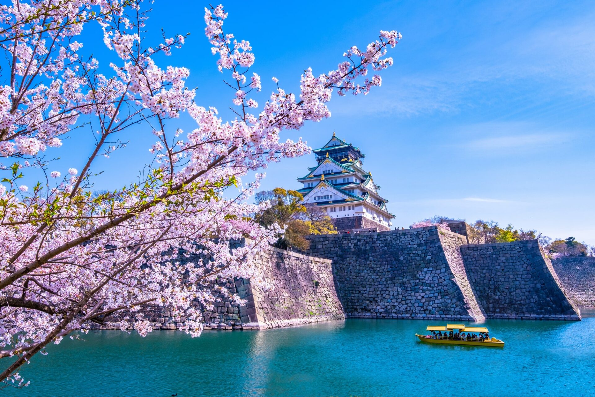 大阪の桜の名所