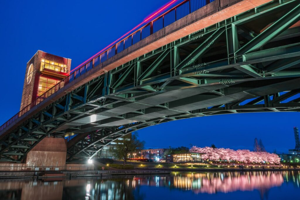 富岩運河環水公園の夜景