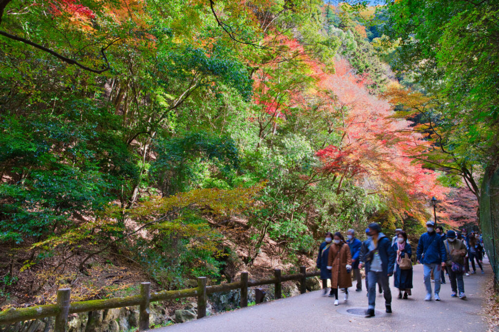 北摂観光おすすめ～箕面大滝へ続く滝道～