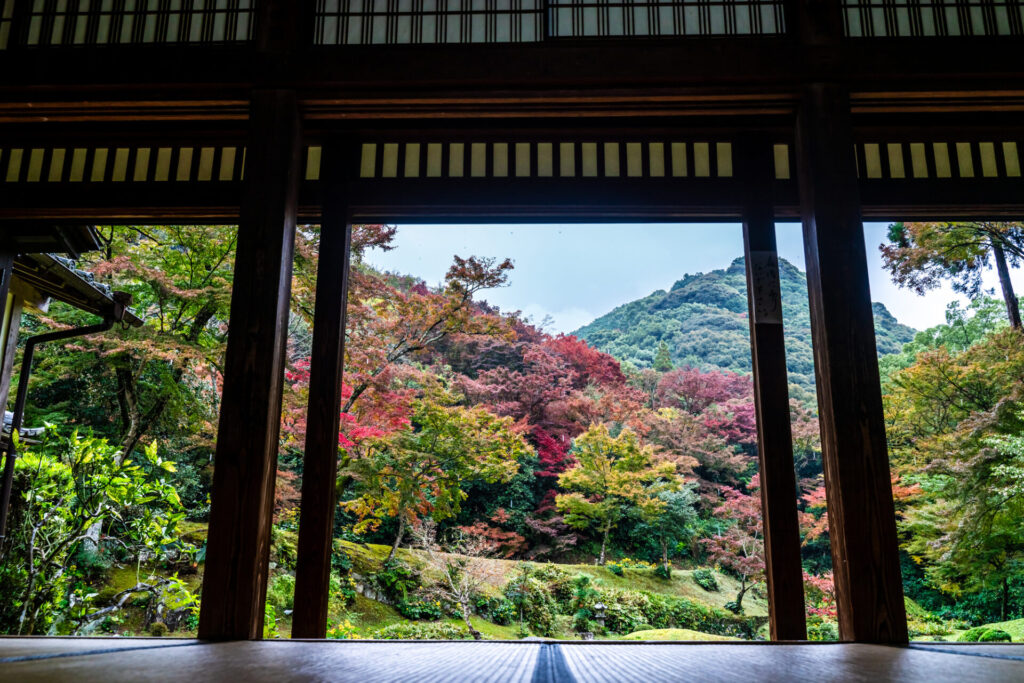 みやま市でおすすめの観光スポット「清水寺本坊庭園」の美しい紅葉の景色