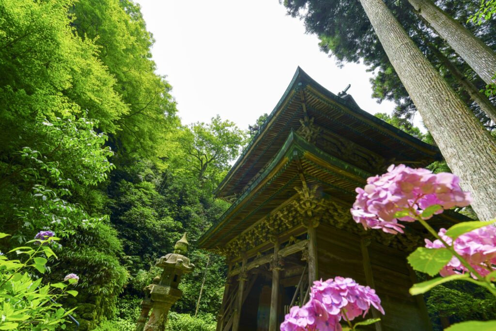 みやま市で訪れたい観光スポット「清水寺」と美しい花の風景
