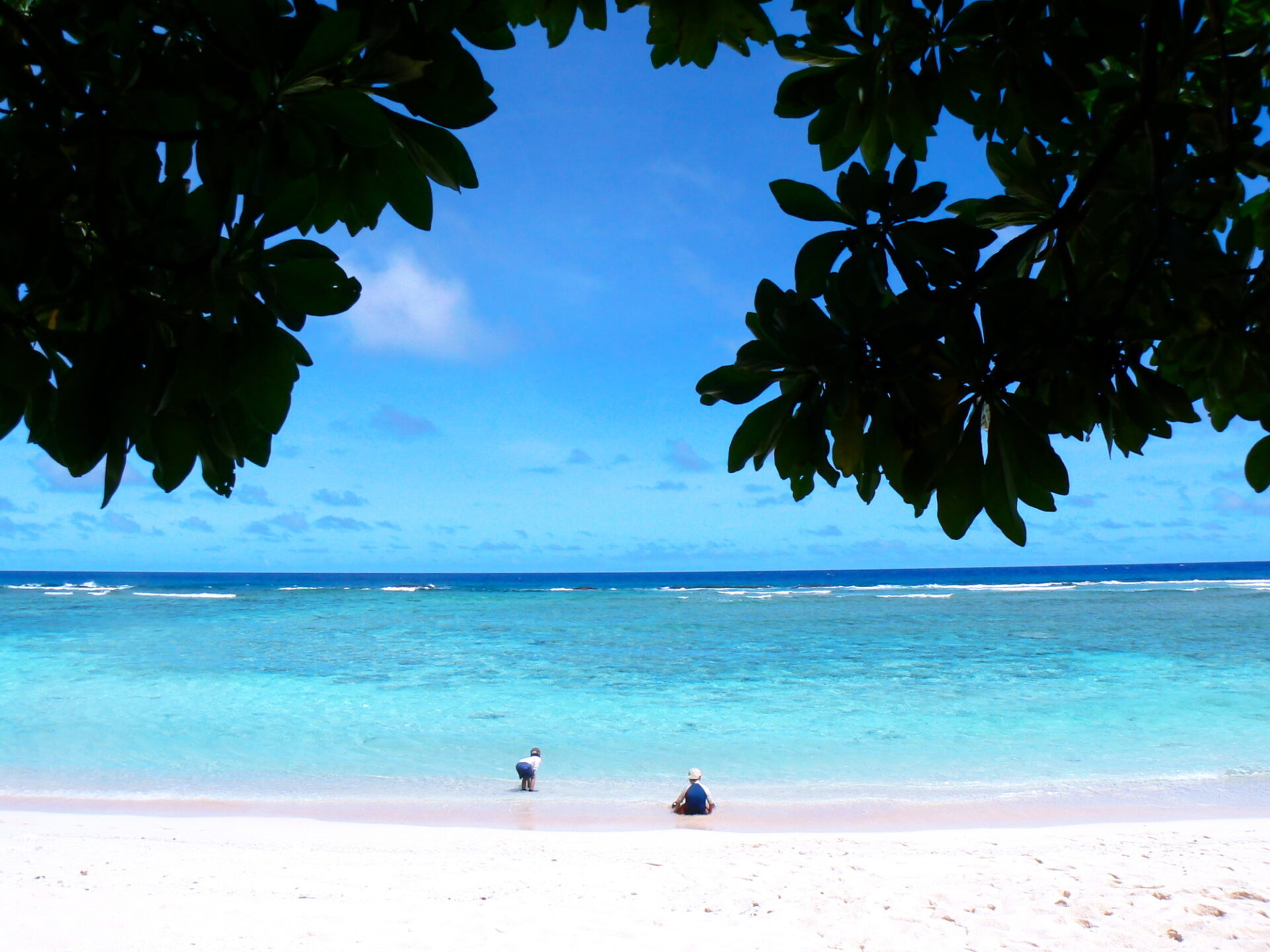 日本から近い海外・グアムで訪れたい、木々の合間から見えるリティディアンビーチの風景