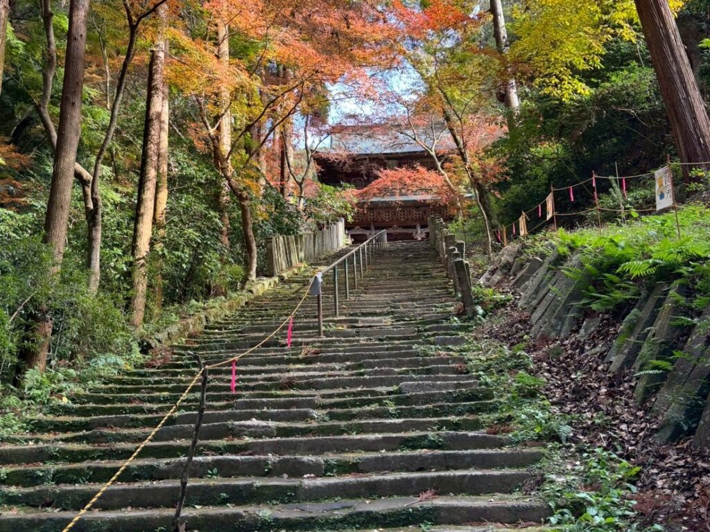 みやま市でおすすめのアクティビティ「山門古道「祈りの道」ガイド付ウォーキング」で訪れる清水寺の参道の風景