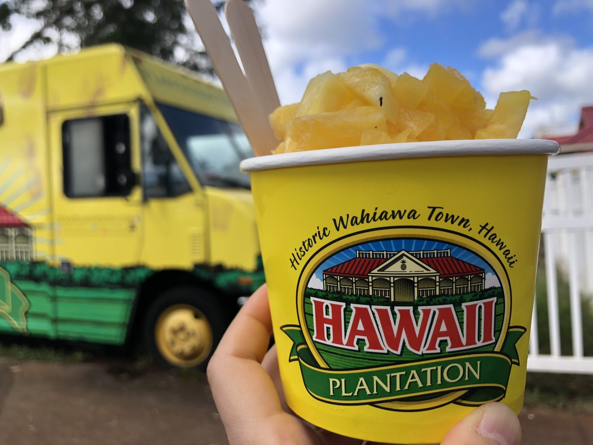 三世代・シニア夫婦のためのハワイモデルコースで訪れたい、ドールプランテーションのパイナップルアイス