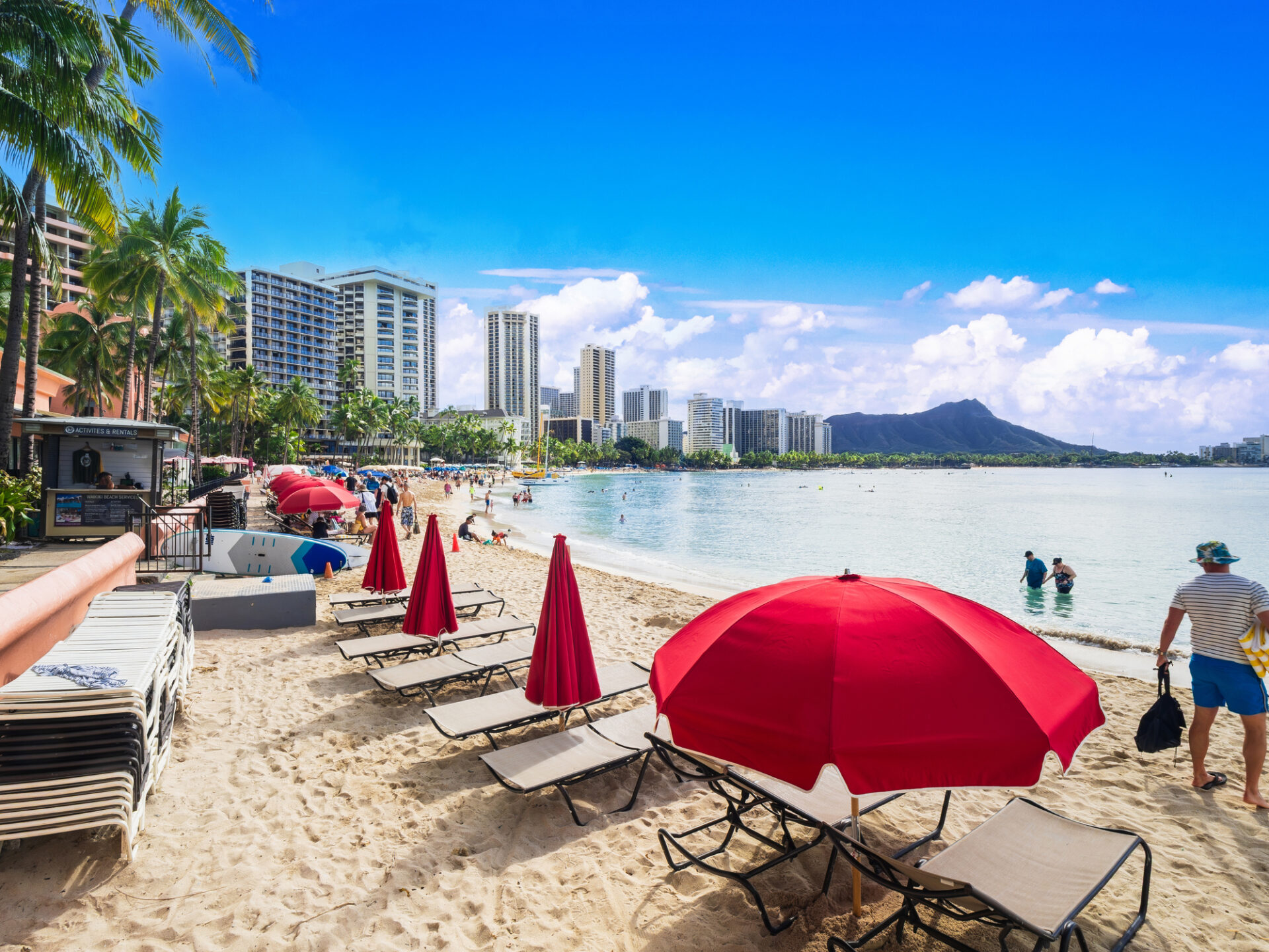 三世代・シニア夫婦のためのハワイモデルコースで訪れたい、ワイキキビーチの景色