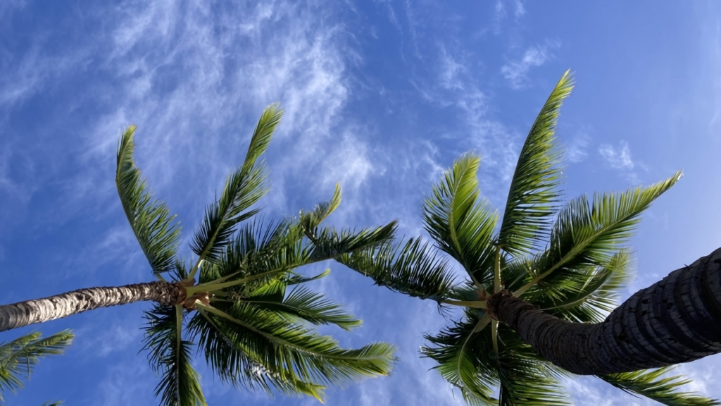 ハワイ 観光 モデル コース_アイキャッチ