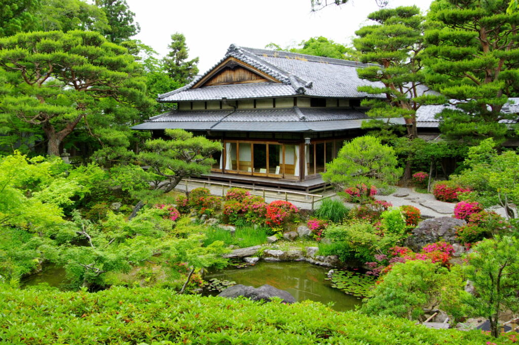 奈良デートモデルコースの紹介