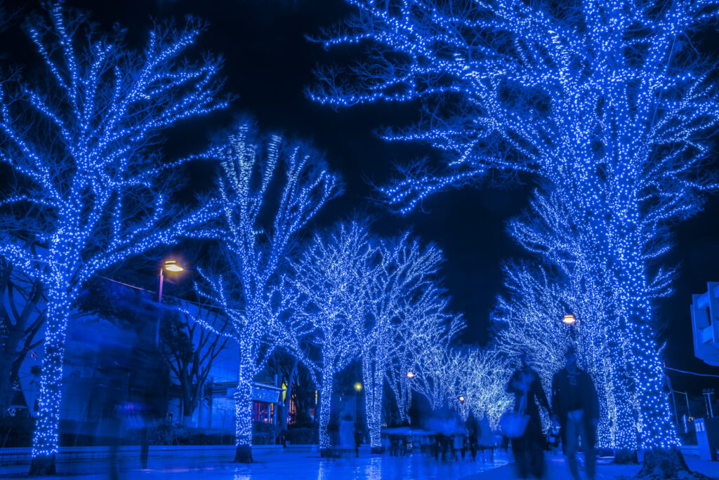 青の洞窟 SHIBUYAの魅力