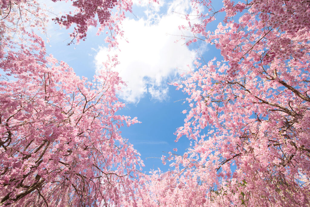 奈良の美食と温泉を満喫するデートコース