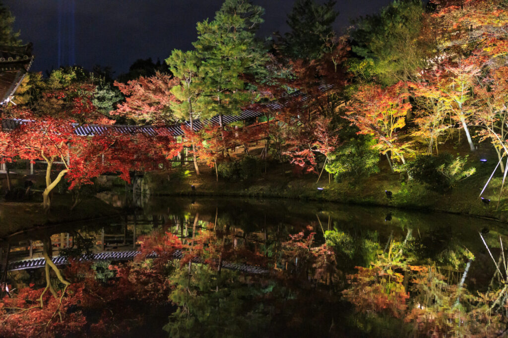 高台寺で紅葉の写真撮影