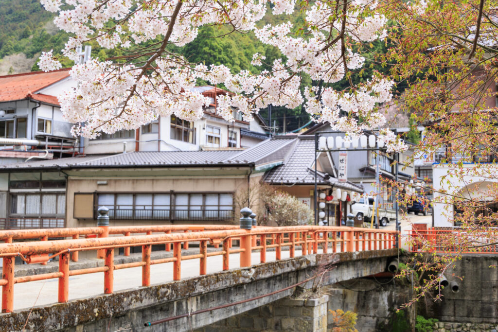 桜満開の洞川温泉　温泉街