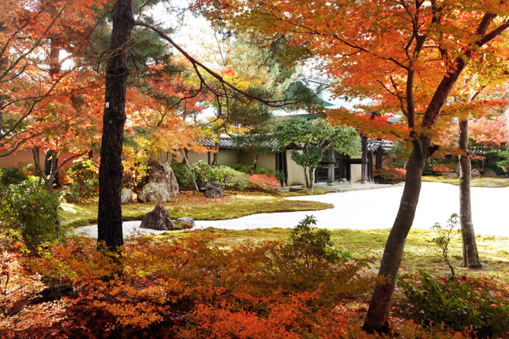 高台寺周辺の紅葉スポット