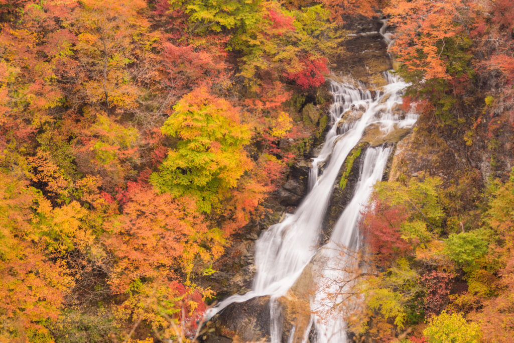 霧降高原エリアの紅葉スポット