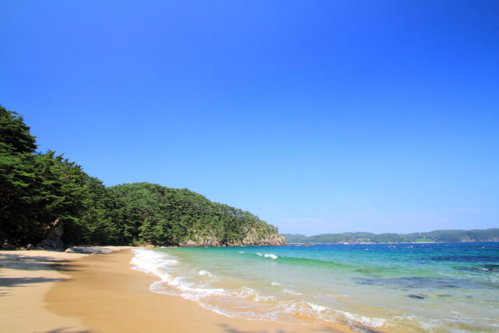 気仙沼 観光 モデル コース_3日目