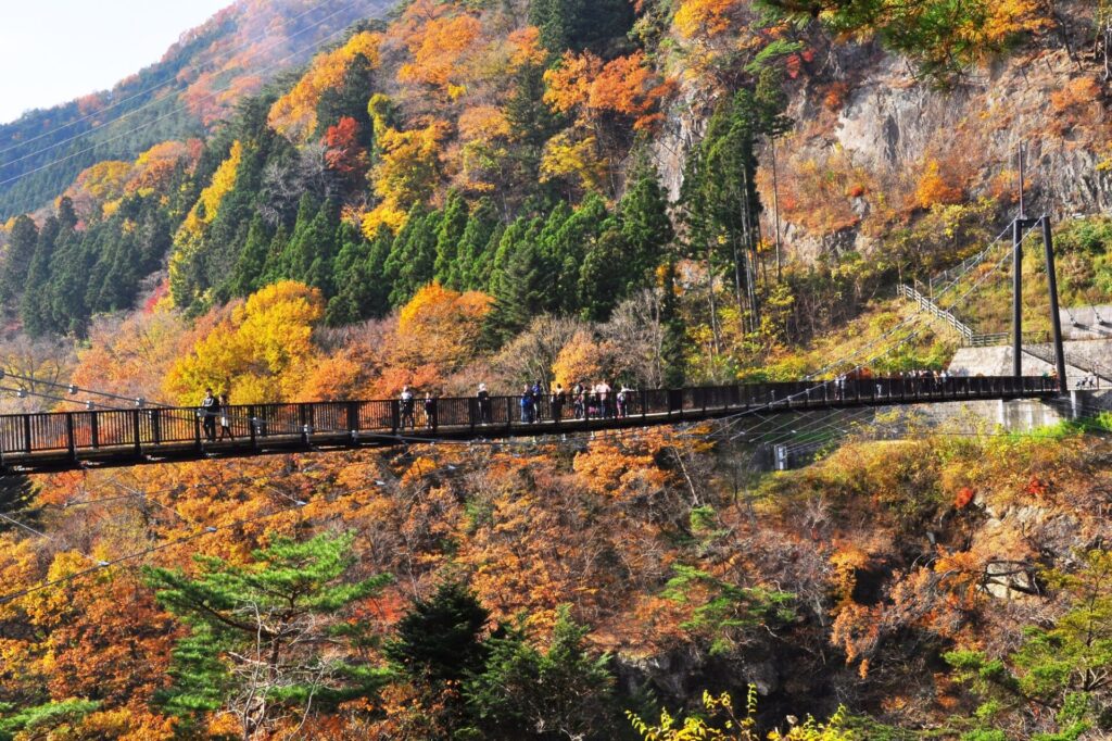 スリリングに紅葉を楽しむ「鬼怒楯岩大吊橋」