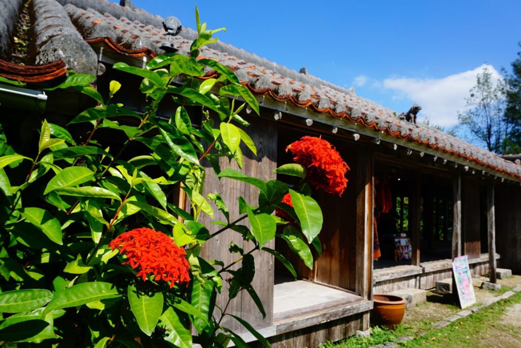 やいま村サンダンカ