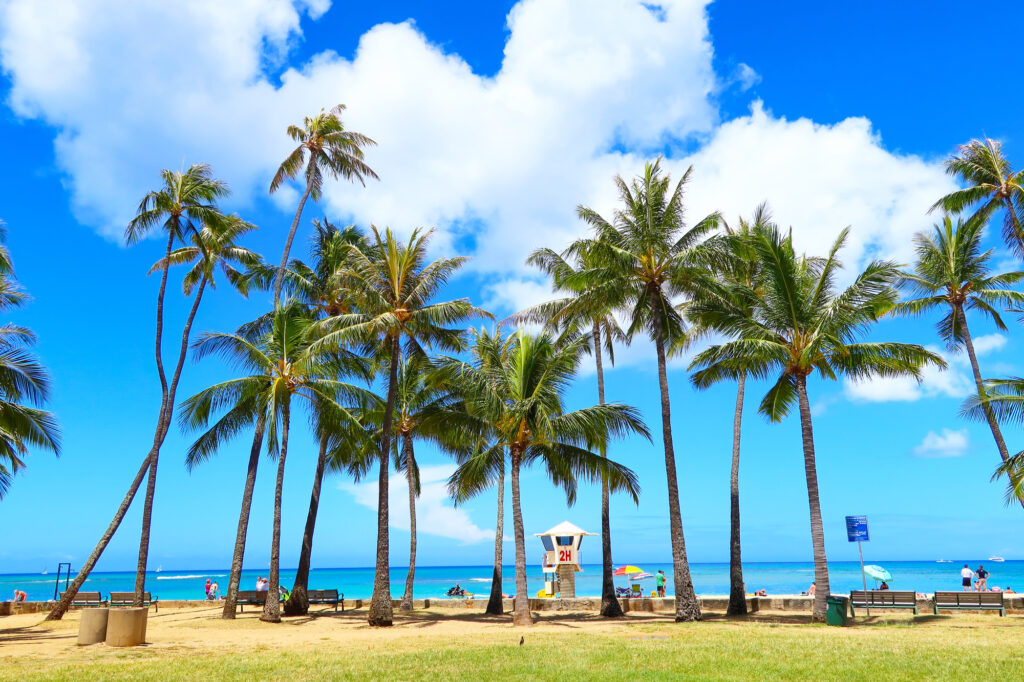 ホノルル 観光_アイキャッチ