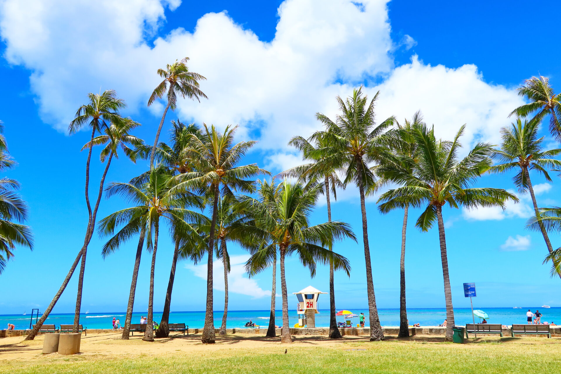 ホノルル 観光_アイキャッチ