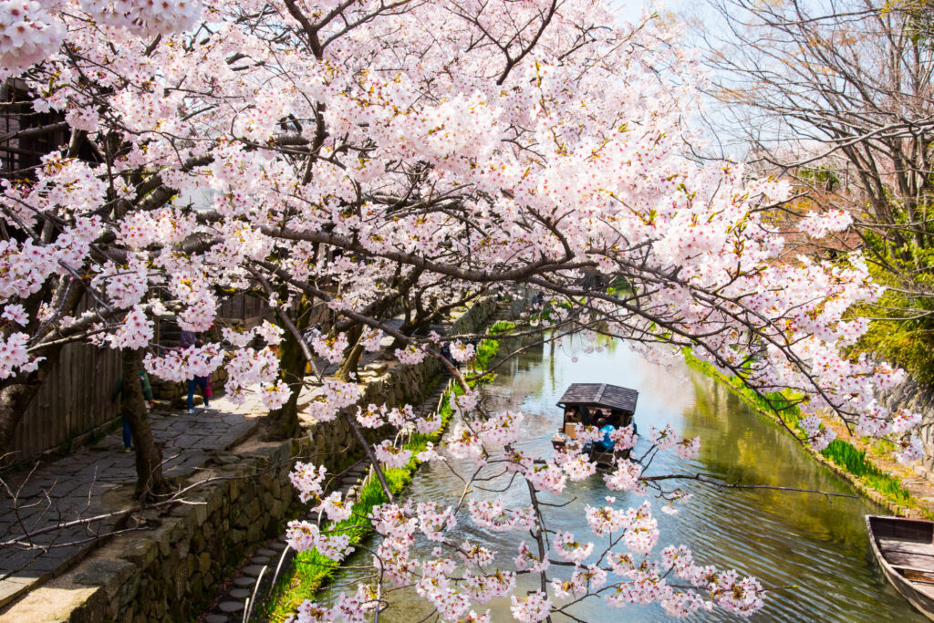 あわせて行きたい！おすすめ観光スポット