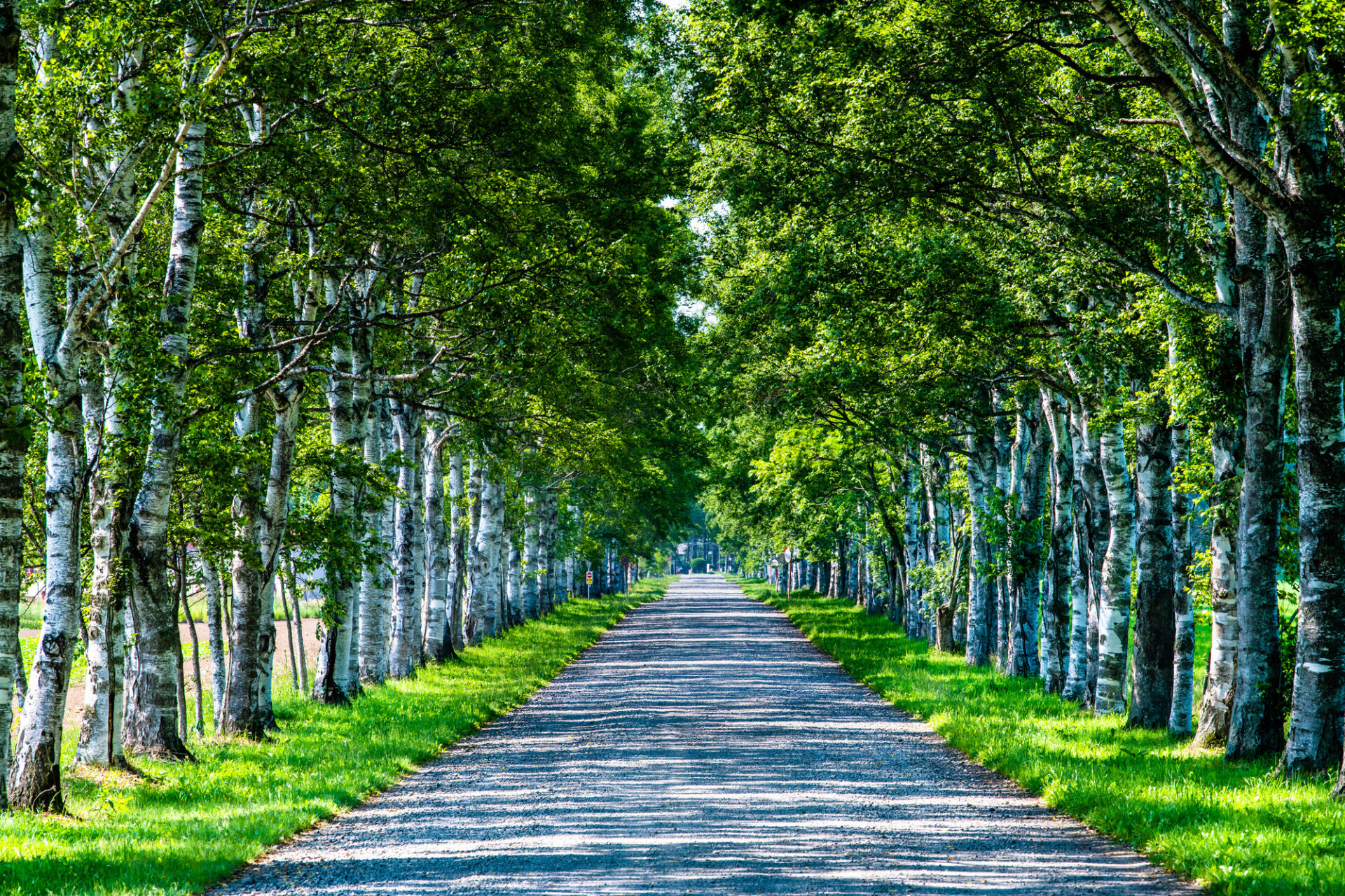 帯広 観光 モデル コース 日帰り