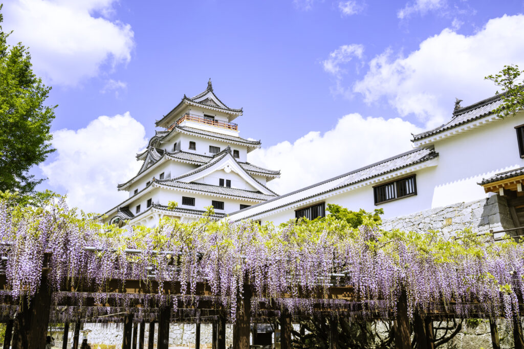 唐津 観光 モデル コース