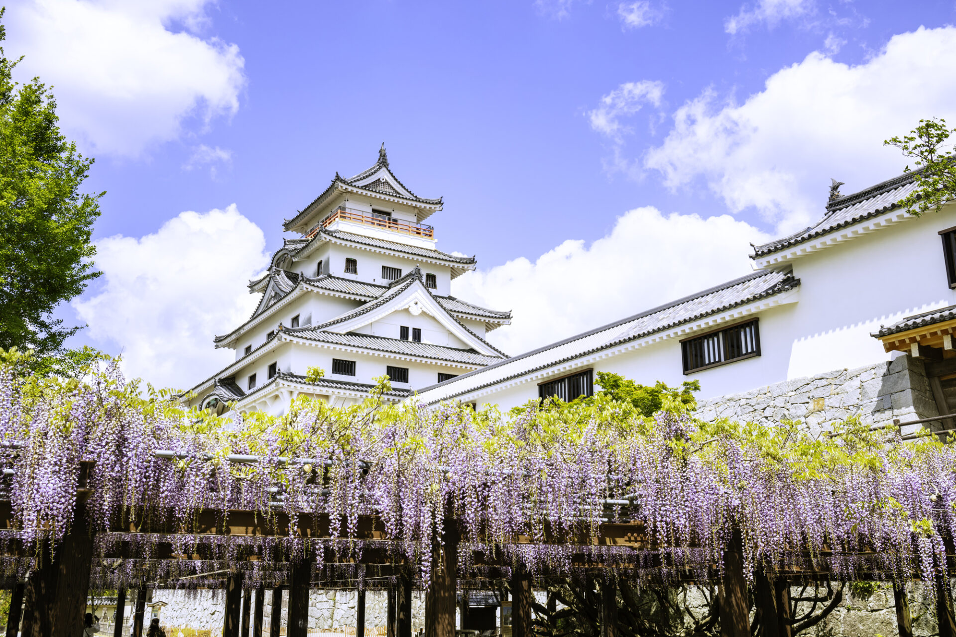 唐津 観光 モデル コース