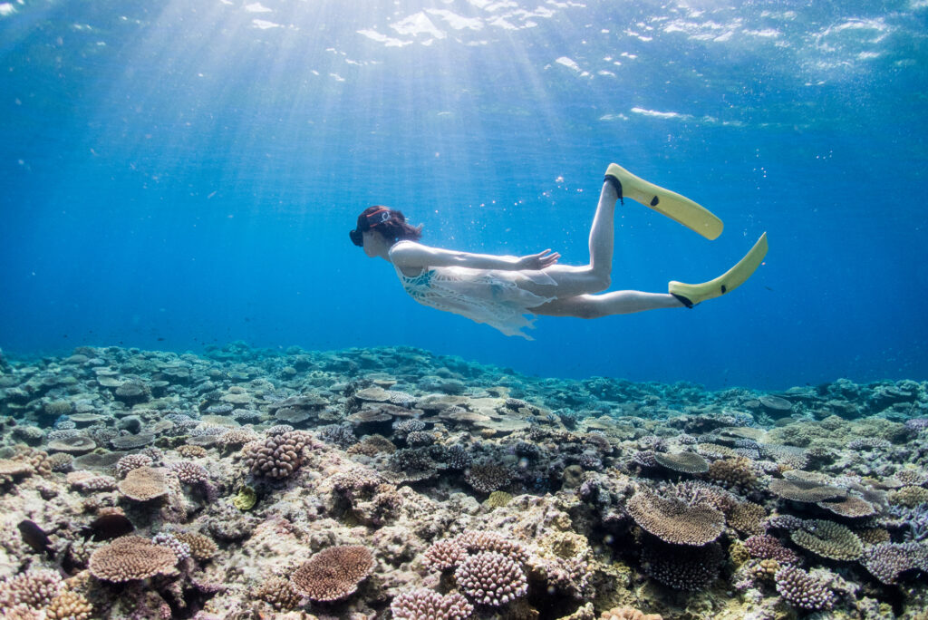 透明度の高いニューカレドニアの海で魚たちと一緒にシュノーケリング