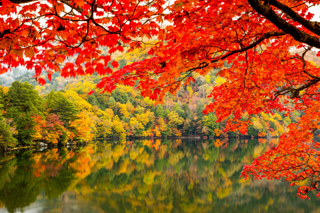 日光の紅葉穴場スポット