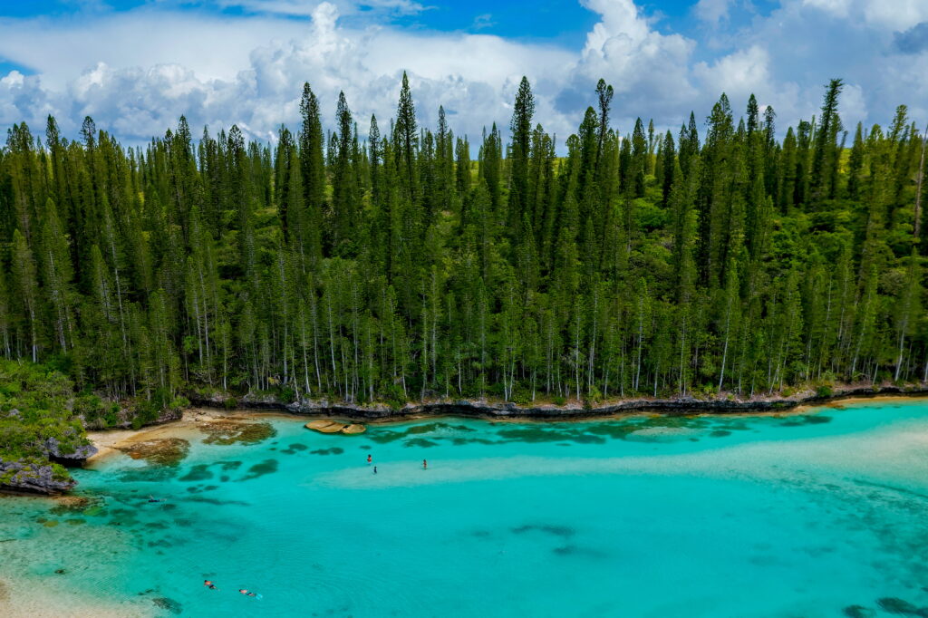 ニュー カレドニア 観光_アイキャッチ