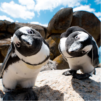 ボルダーズビーチ