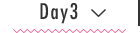 day3