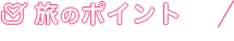 旅のポイント