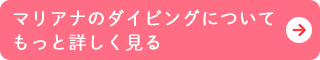 マリアナのダイビングについてもっと詳しく見る