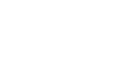 魚・ウミガメ・沈没船も！バラエティ豊か